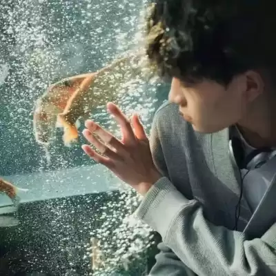卢浅伽